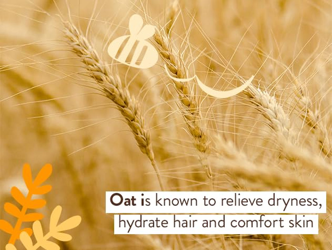 Moisturizing Oat & Calendula 2-In-1 Shampoo & Wash - for Dry or Sensitive Skin - for All Ages - Lightly Scented - Vegan - Refill Pouch 32 Fl.Oz.
