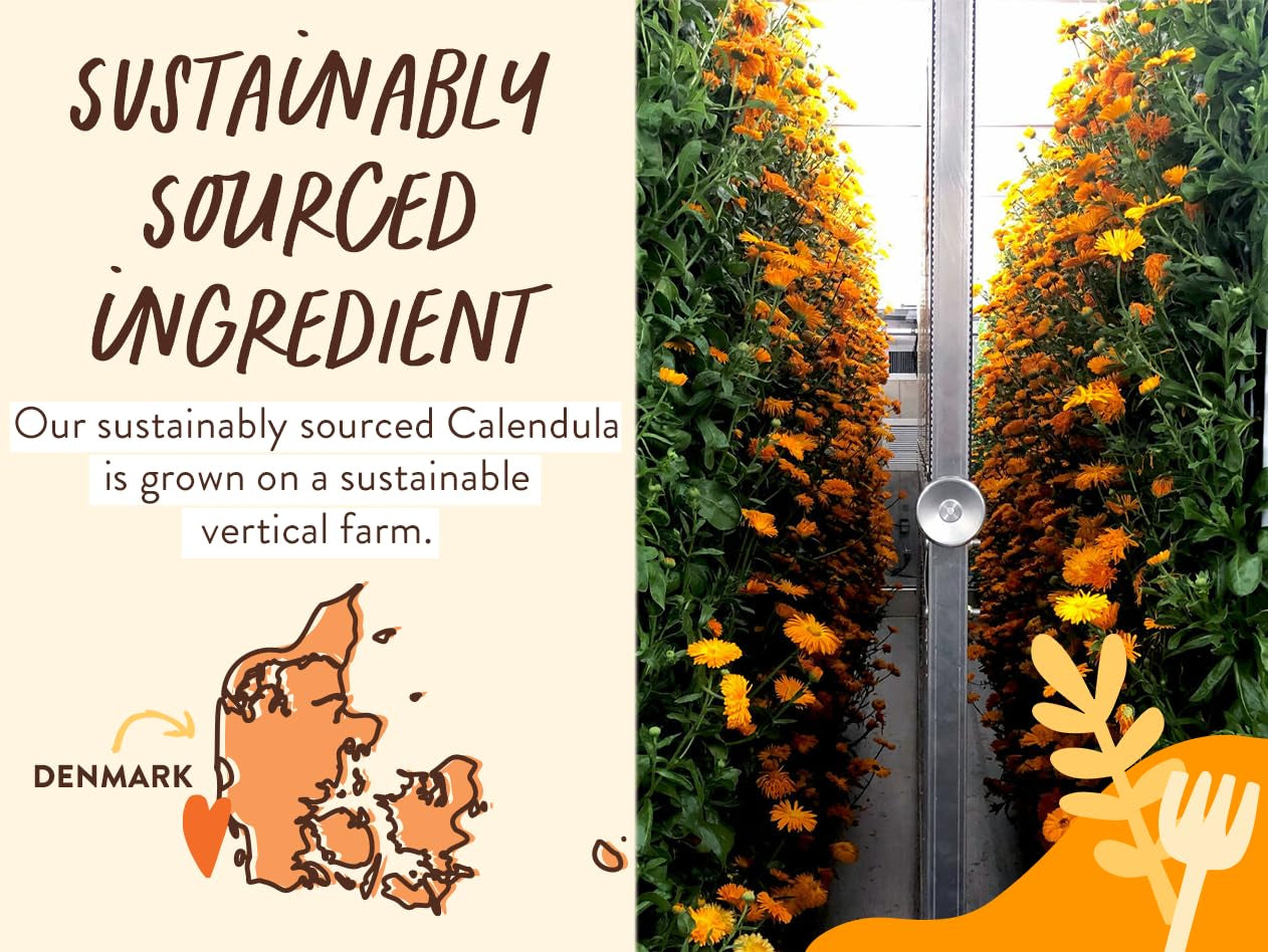 Moisturizing Oat & Calendula 2-In-1 Shampoo & Wash - for Dry or Sensitive Skin - for All Ages - Lightly Scented - Vegan - Refill Pouch 32 Fl.Oz.