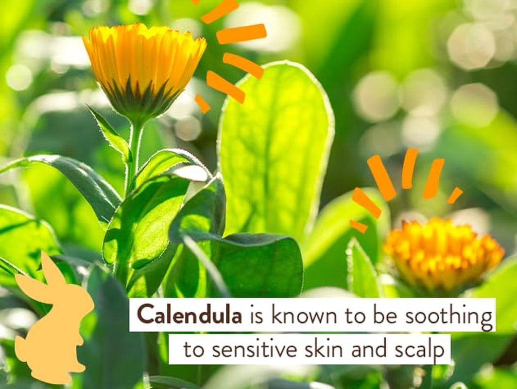 Moisturizing Oat & Calendula 2-In-1 Shampoo & Wash - for Dry or Sensitive Skin - for All Ages - Lightly Scented - Vegan - Refill Pouch 32 Fl.Oz.