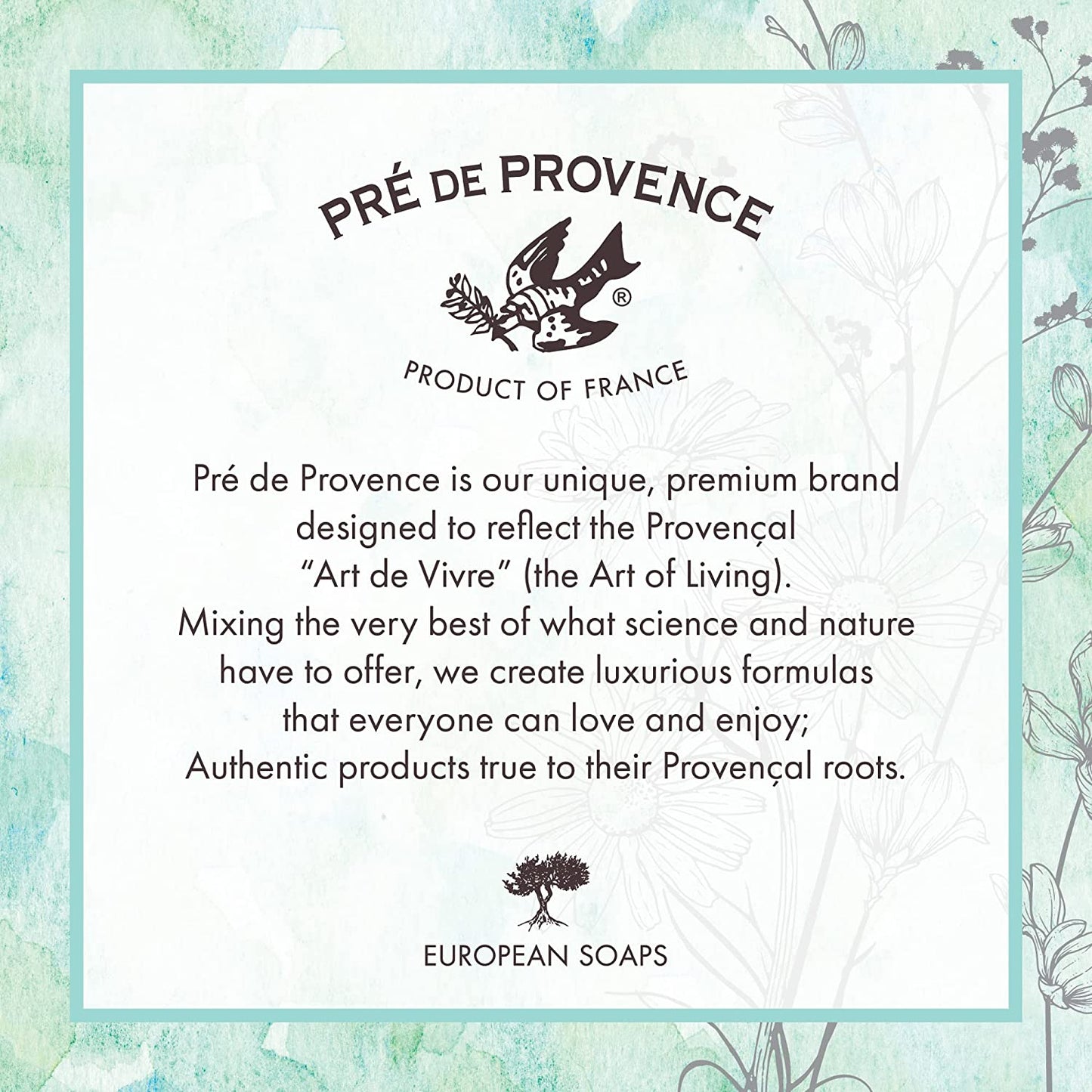 Artisanal Soap Bar, Enriched with Organic Shea Butter, Natural French Skincare, Quad Milled for Rich Smooth Lather, 8.8 Ounce, Lemongrass
