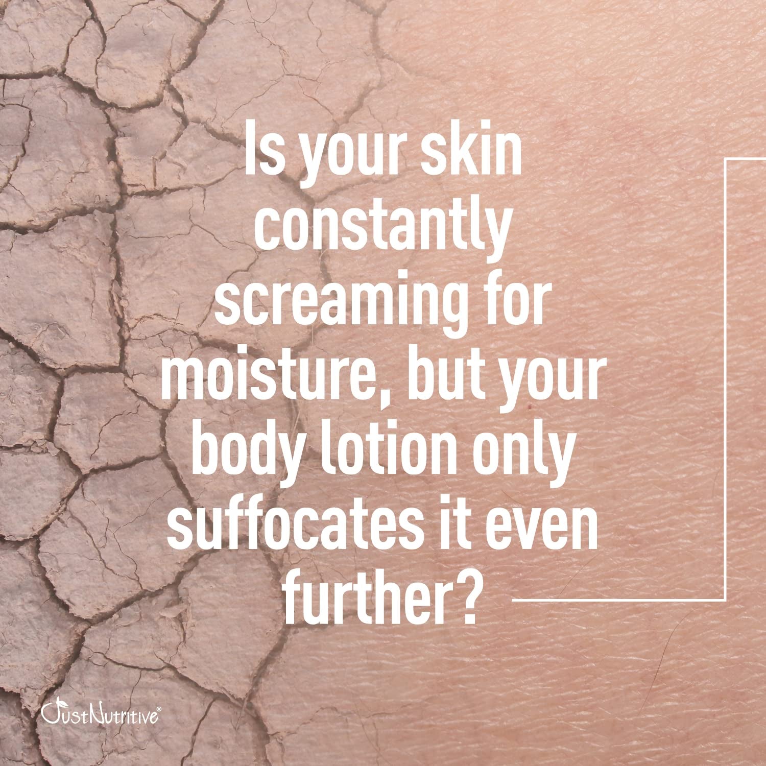 Body Lotion - Best Lotion for Your Body with Skin Loving Goodness - Tucuma Butter and Black Currant Seed Oil Nourish and Replenish Your Skin - 16 Oz